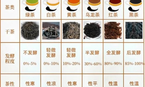 抗骨片能治疗什么病-抗骨通痹丸主治功能网—知名的同仁堂抗骨丸网站,分享抗骨炎片的功效知识